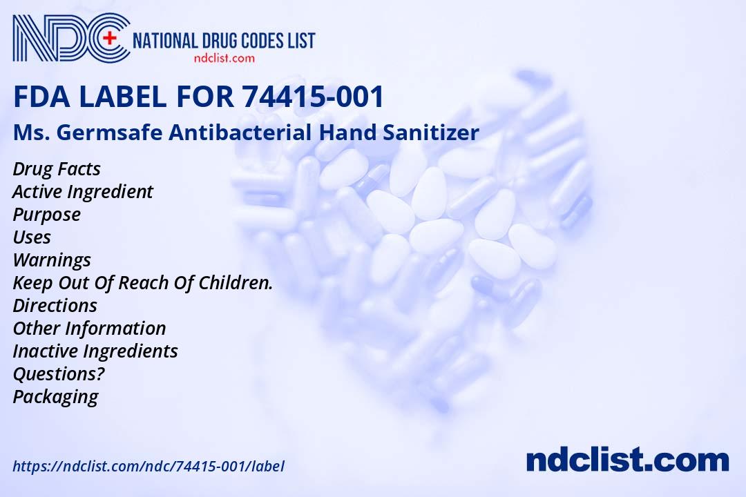 Ms. Germsafe Antibacterial Hand S - FDA Label NDC 74415-001