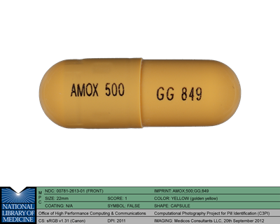 Amoxicillin Image