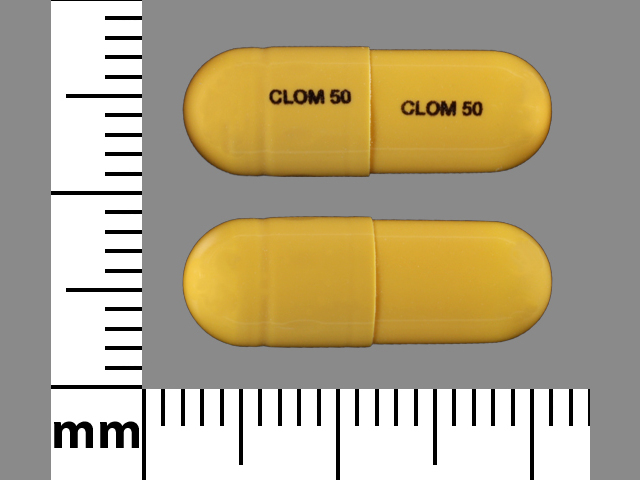 Pill Identifier Clomipramine Hydrochloride - Size, Shape, Imprints and ...