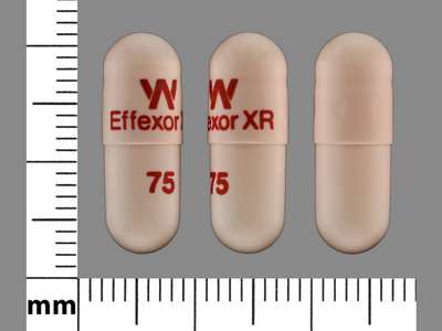 Image of Image of Effexor  XR  by Stat Rx Usa