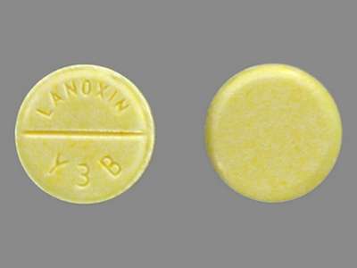 Image of Image of Lanoxin   by Aphena Pharma Solutions - Tennessee, Llc