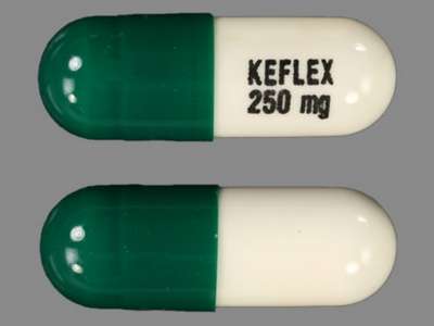 Image of Image of Keflex   by Shionogi Inc.
