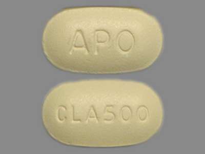 Image of Image of Clarithromycin   by Apotex Corp