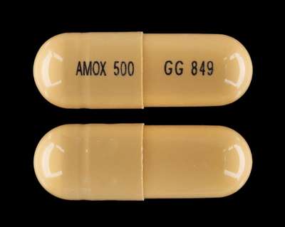 Image of Image of Amoxicillin   by Blenheim Pharmacal, Inc.