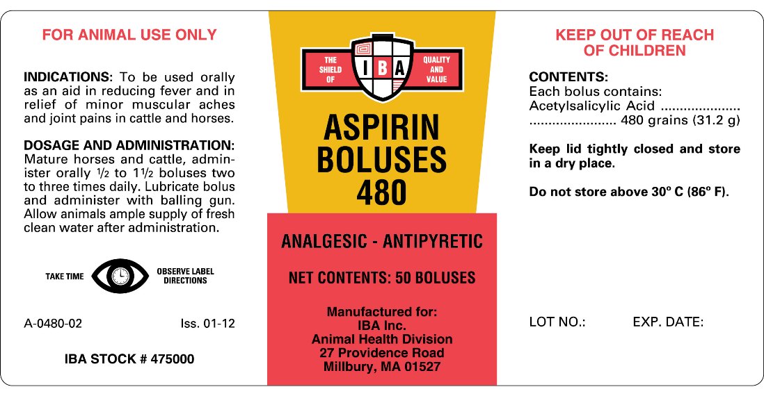 IBA Aspirin Bolus 480 12