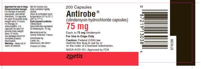 Antirobe Capsules 75 mg Label - antirobe 6