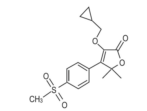 Animal NDC 86101-039-14 Firocoxib