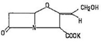 "image Description" (Amox And Clavu Pot Os Structure 2)