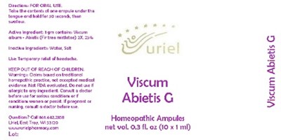 Viscumabietisgampules