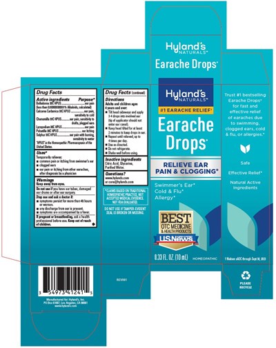 carton - EARS0.33CTN