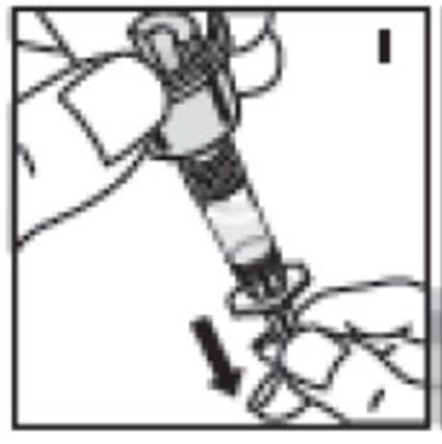 Figure I - vialadap 09