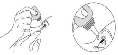 Figure E (Dor03 0000 06)