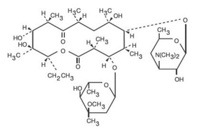 f9c6373a-15d0-4210-ab4e-7bacb171d70c-01.jpg Image - f9c6373a 15d0 4210 ab4e 7bacb171d70c 01