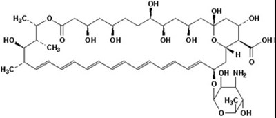 Spl-amphotercin-structure (Spl Amphotercin Structure)