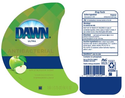 Dawn