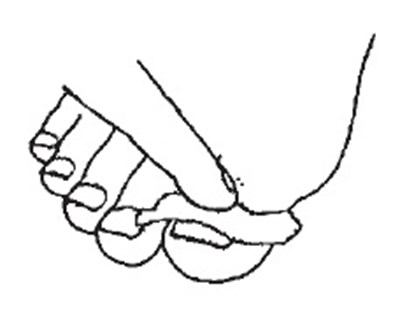 Image 3 (Image 04)