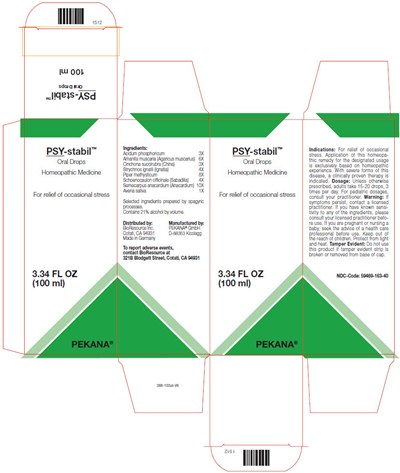PRINCIPAL DISPLAY PANEL - 100 ml Bottle Box - psy stabil 01