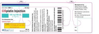Cisplatin Injection 100ml Vial Labels Rev 102023 (Cisplatin Spl 100ml Vial)