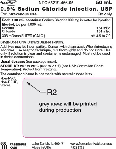 sod1f-0000-02.jpg PACKAGE LABEL – PRINCIPAL DISPLAY PANEL – Sodium Chloride 50 mL Bag Label - sod1f 0000 02