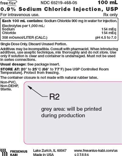 sod1f-0000-03.jpg PACKAGE LABEL – PRINCIPAL DISPLAY PANEL – Sodium Chloride 100 mL Bag Label - sod1f 0000 03