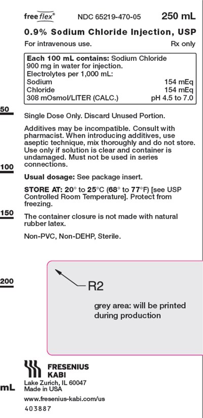 sod1f-0000-04.jpg PACKAGE LABEL – PRINCIPAL DISPLAY PANEL – Sodium Chloride 250 mL Bag Label - sod1f 0000 04