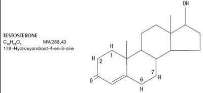 testopel-1.jpg stucture - testopel 1