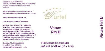 Viscumpinibampules