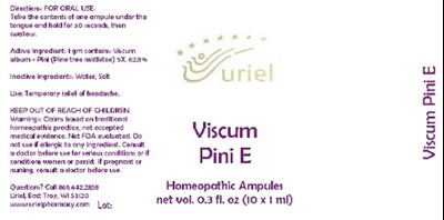 ViscumPiniEAmpules.jpg ViscumPiniEAmpules