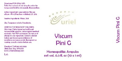 Viscumpinigampules
