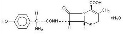 Chemical Structure - cefadroxil str