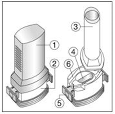 The Aerolizer consists of the following parts:1.	A cap to protect the mouthpiece of the base2.	A base that allows the proper release of medicine from the capsuleThe base consists of:3.	A mouth piece4.	A capsule chamber5.	A button with “winglets” (projecting side pieces) and pins on each side6.	An air inlet channel. - foradil 0A