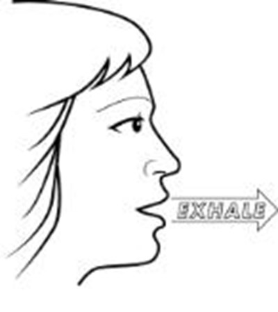 Breathe out (exhale) fully. Do not exhale into the AEROLIZER mouthpiece. (Figure 8) - foradil 12