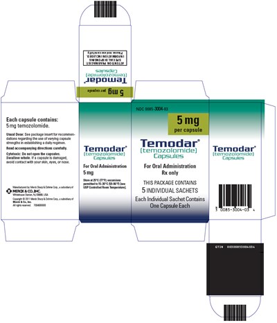 PRINCIPAL DISPLAY PANEL - 5 mg Capsule Sachet Carton - temodar 04