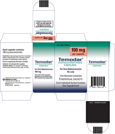 PRINCIPAL DISPLAY PANEL - 100 mg Capsule Sachet Carton - temodar 06