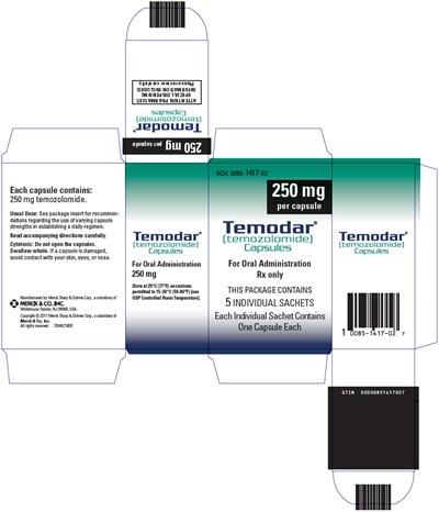 PRINCIPAL DISPLAY PANEL - 250 mg Capsule Sachet Carton - temodar 09