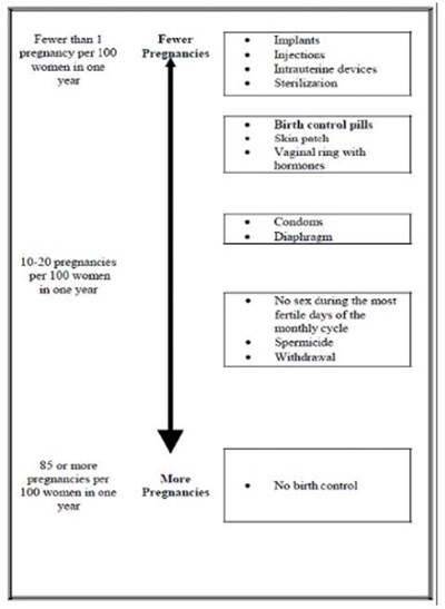 Figure 2 - spl img 04 chart