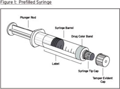 Figure 1 (Roc09 0007 05)