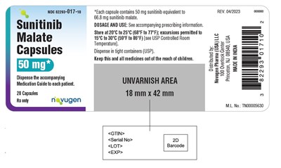 image description - image04
