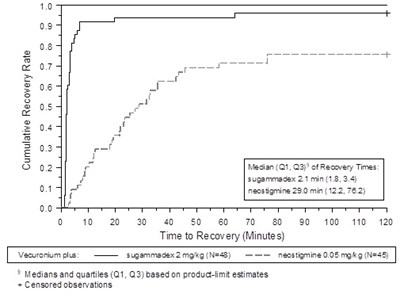 Figure 2 (Bridion 04)