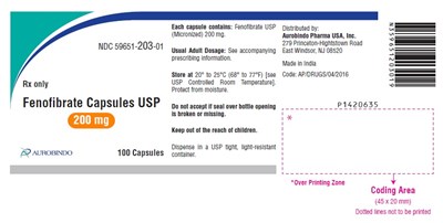 PACKAGE LABEL-PRINCIPAL DISPLAY PANEL - 200 mg (100 Capsules Bottle) - fenofibrate fig3