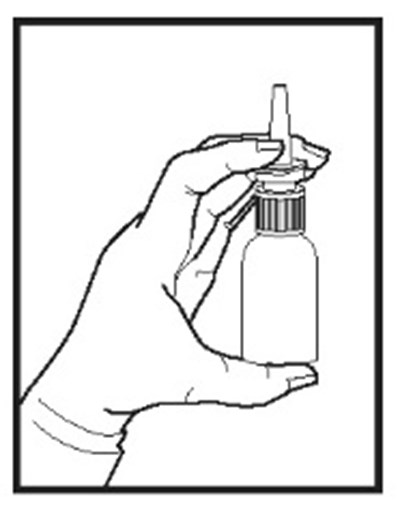 Figure-2.jpg (Figure 2)