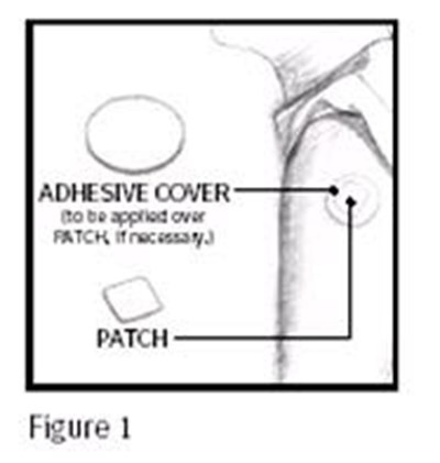 figure-1.jpg figure-1 - figure 1