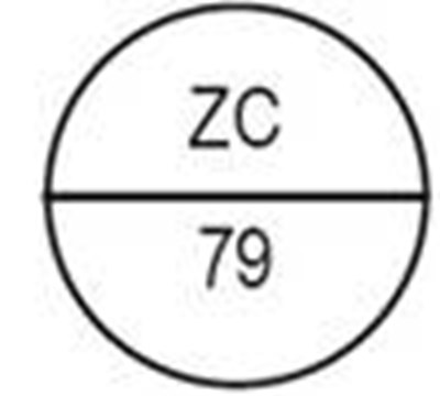 Image - 9386cb5f ece0 47fd 82b5 8c80475a7094 388 2