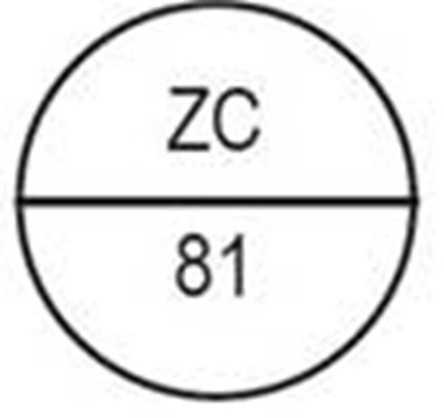 Image - 9386cb5f ece0 47fd 82b5 8c80475a7094 388 4