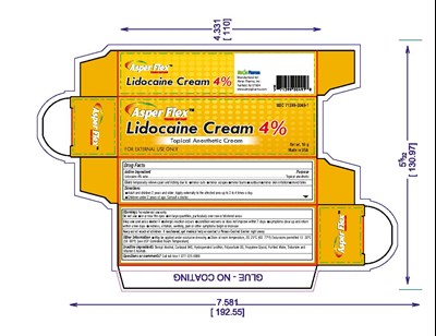 4-5-3 (Lidocaine4 15g Page 1)