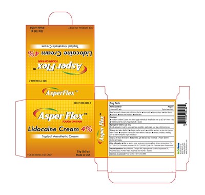 4-5-2 (Lidocaine4 5g Page 2)