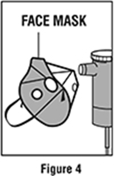 1 (Image 7)