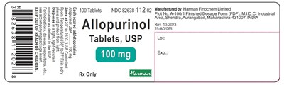 Image Description (Allopurinol 100mg 100s)