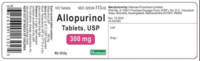 Image Description (Allopurinol 300mg 100s)