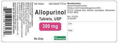 Image Description (Allopurinol 300mg 500s)